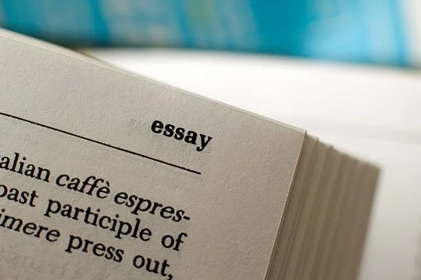 Essay
