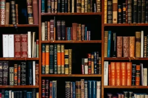 Assignment Help Services