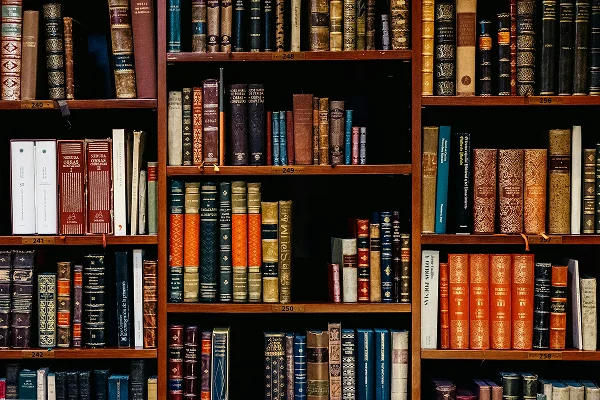 Assignment Help Services