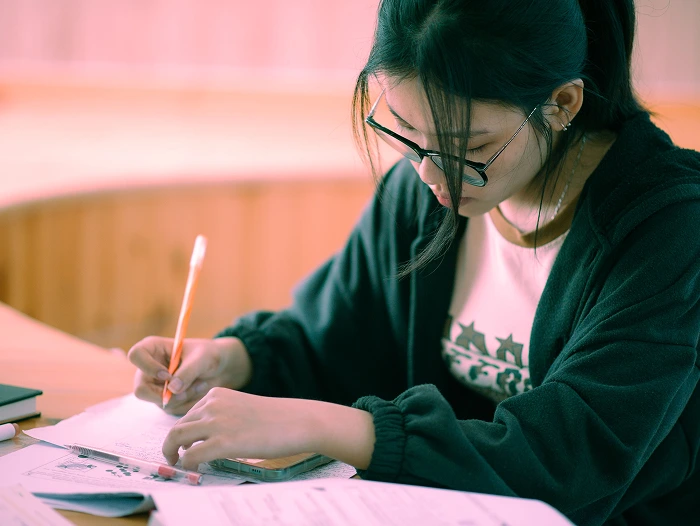 Assignment Writers